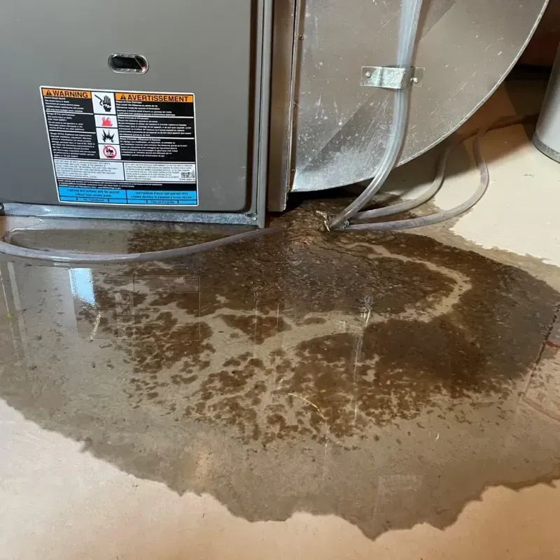 Appliance Leak Cleanup in Leakey, TX